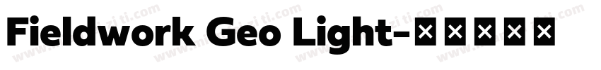 Fieldwork Geo Light字体转换